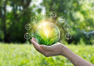 Hands protecting globe of green tree on tropical nature summer background, Ecology and Environment concept