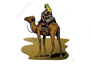 Drawing of camel with rider a white background
