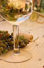 Pinot Grigio Reflections