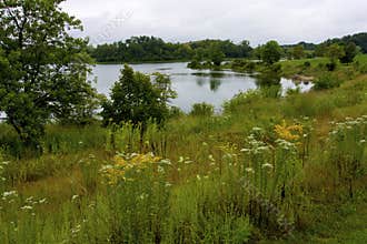 Silver Lake Scenic  806398
