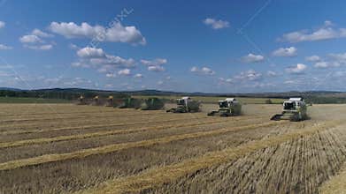Combine harvesters remove wheat. Aerial
