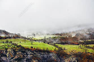 Dreamy landscape of early spring misty meadow and forest after rain