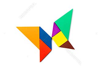 Color tangram puzzle in butterfly shape on white background