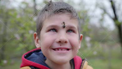 Beekeeping, little brave boy beekeeper smiles with honey bee on his face from hive