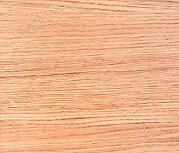 Wood texture