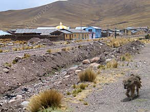 Peruvian village in wilderness