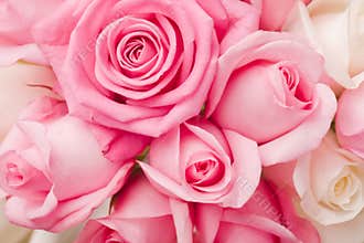 Tender pink roses bouquet