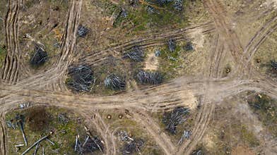 Deforestation. View from above aerial view.