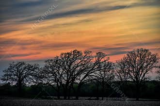 Sunset Twilight Colors over Farmfield with Trees