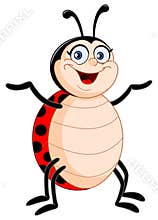 Lady bug