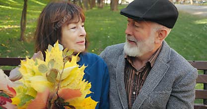 Cheerful couple of senior citizens man and woman are sitting relaxing on a bench in a cozy park in autumn. Bearded