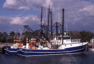 Colorful Commercial Fishing Boats in Ocean City