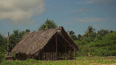 Lonely hut in the jungle. Sri Lanka. Asia.