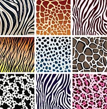 Animal skin textures