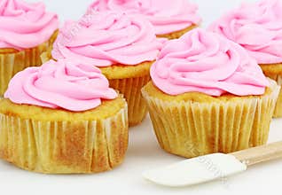 Pink Topped Cupcakes