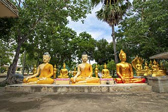 Wat Phai Rong Wua is a famous and famous landmark as well as a tourist attraction in Suphan Buri