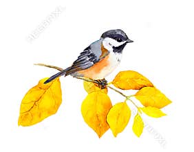 Bird at autumn branch with abstract yellow leaves. Watercolor
