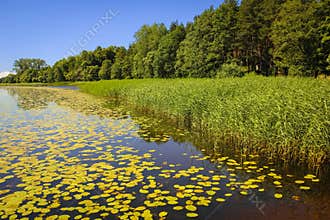 Lake Jugla. Riga. Latvia