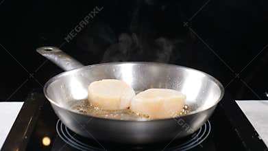 Cooking seafood. Professional chef in gloves frying scallops. Slow motion. Steam rising up on black backgound. Full hd