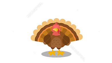 Thanksgiving Turkey Bird Cartoon Character
