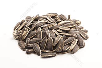 Sunflower Seeds