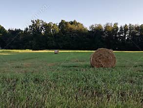 Haybales close up with cut field crops and fields