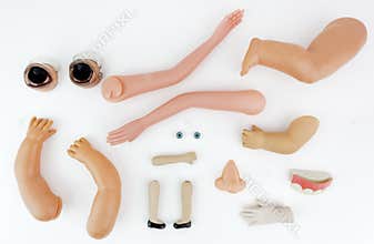 Doll body parts