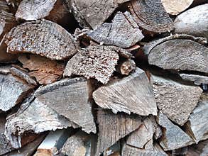 Old wood is the epitaph of tree life.