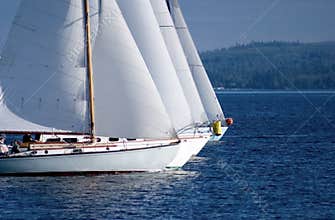 Sailboat races