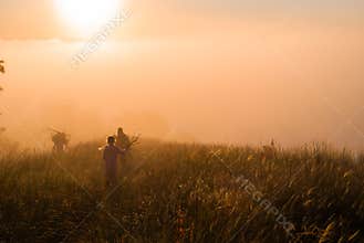 Meeting the summer dawn at Zmievskiye Kruchi