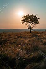 Meeting the sunrise on one of the hills of the Cretaceous waste heaps of the Donetsk region