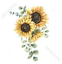 Watercolor autumn bouquet with sunflowers and silver dollar eucalyptus branches. Hand painted rustic card isolated on