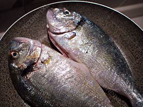 Cooking fish in a pan
