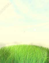 Nice Grass Lawn Background