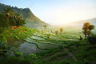 Bali