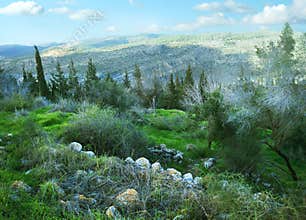 Israel. Beit Shemesh city view from the hill.