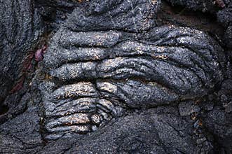 Rope Lava Detail w/ Gold, Hawaii