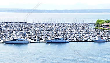 Yachts in a Marina