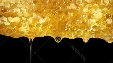 Honeycomb drips honey closeup shot