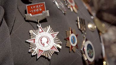 Great World War Veteran With Medals