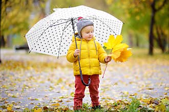 Little child walking in the city park at rainy autumn day. Toddler boy with umbrella for fall weather