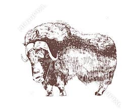 Muskox hand drawn with contour lines on white background. Monochrome sketch drawing of herbivorous hoofed bovine animal