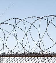 Tangled razor wire on top of a wire mesh perimeter fence, against a blue sky