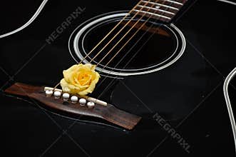A yellow rose displayed with a guitar
