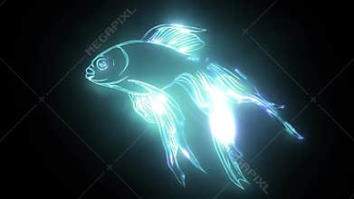 Fish Red Flat video animation