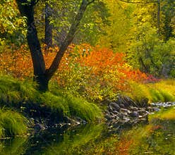 Fall Colors, Yosemite, California