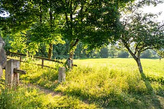rural scenery with sun light