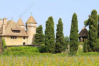 Chateau de Ripaille and vineyard, Ripaille, french Haute Savoie