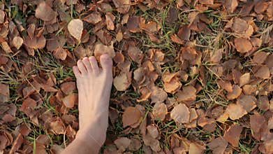 Walking barefoot in autumn