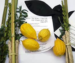 The Four Species of Sukkot.